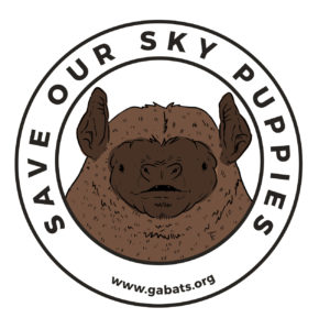 Save Our Sky Puppies